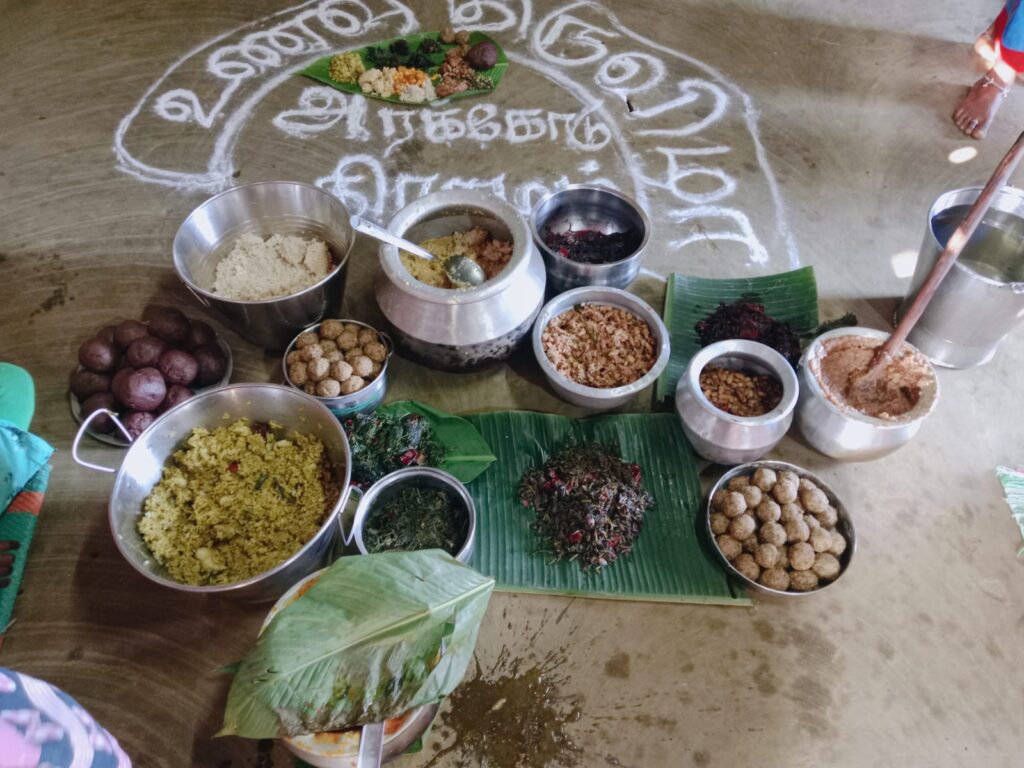 Wild Food Festival promoting diet diversity