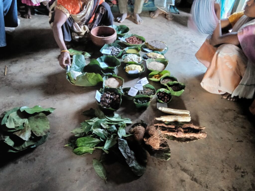 Display of wild foods including Tubers wild and cultivated foods including Tubers traditional rice ,green saag,mahuwa items in